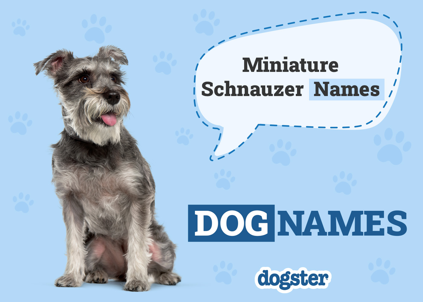 Dogster_Miniature Schnauzer Names