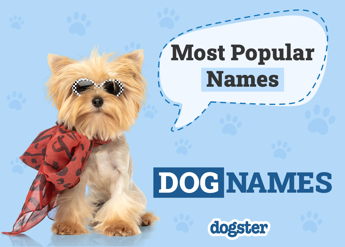 Dogster_Most Popular Names