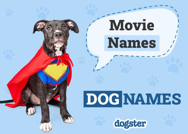 Dogster_Movie Names