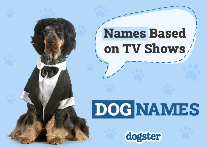 Dogster_Names Based on TV Shows