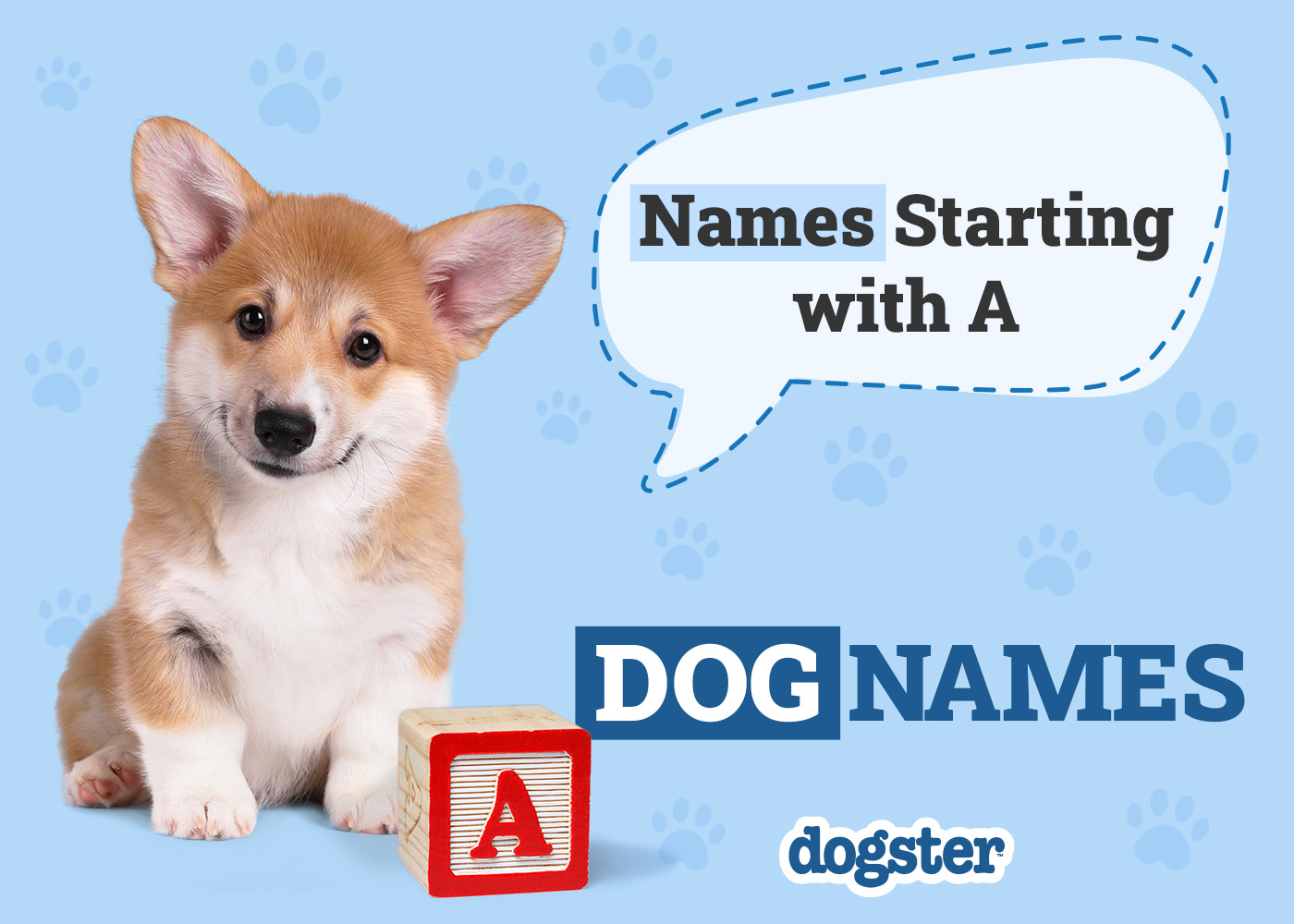 Dogster_Names Starting with A