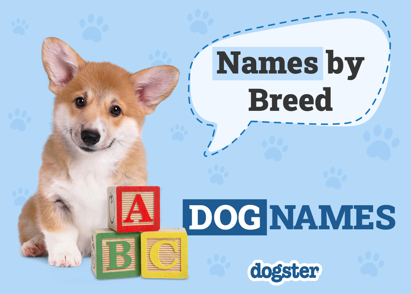 Dogster_Names by Breed