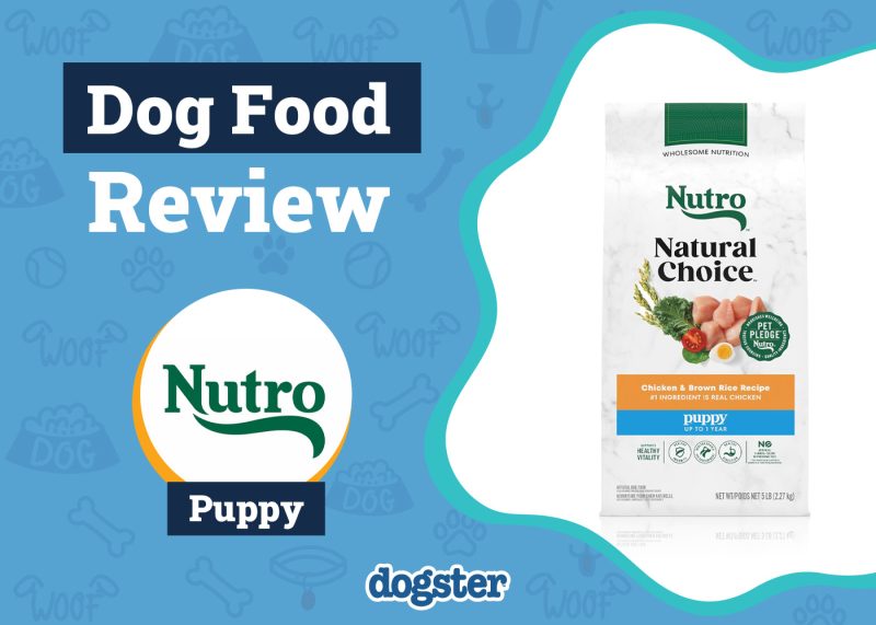 Dogster_Nutro Dog Food Review
