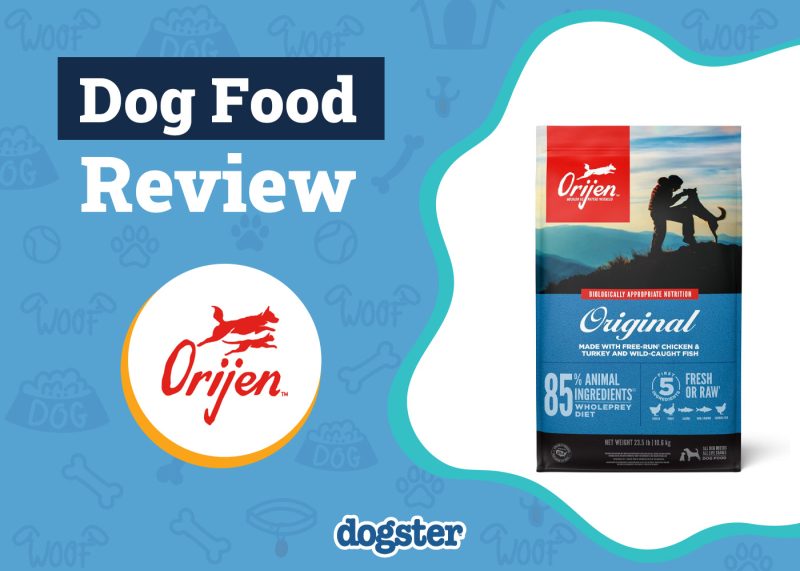 Dogster_Orijen Dog Food Review