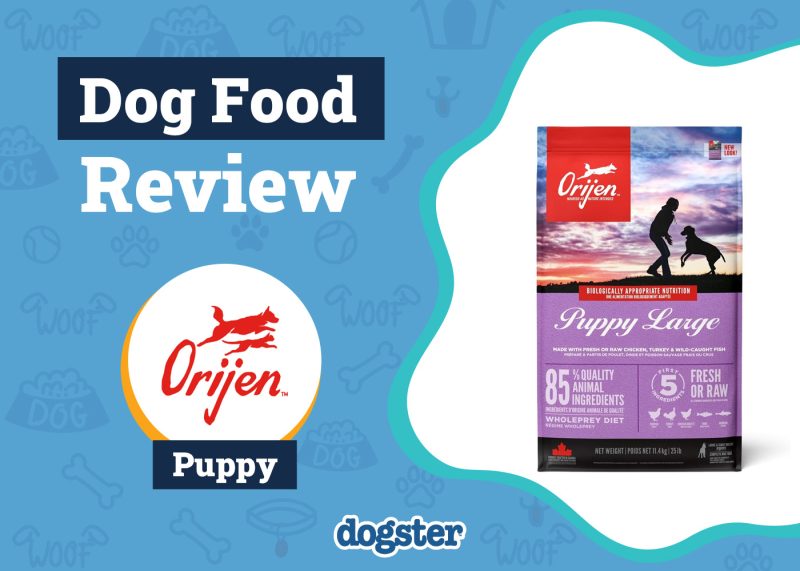 Dogster_Orijen Puppy Food Review