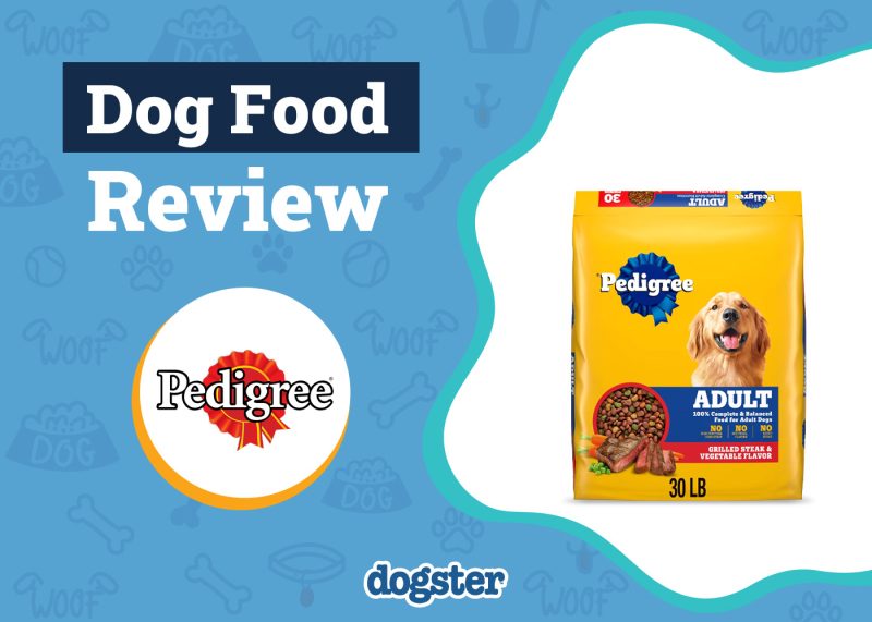 Dogster_Pedigree Dog Food Review