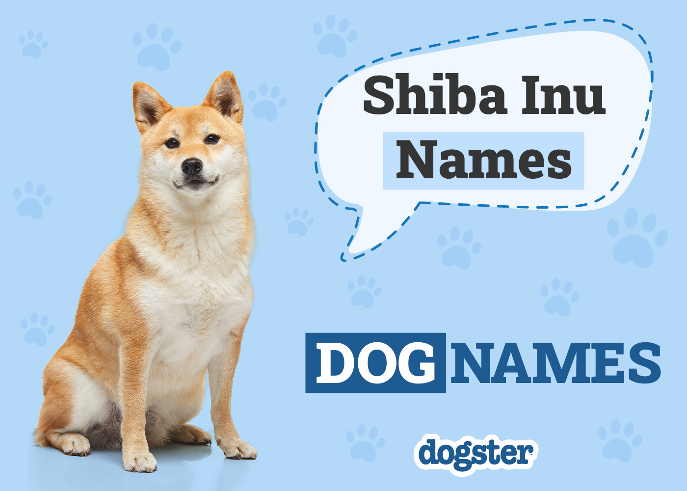 Dogster_Shiba Inu Names