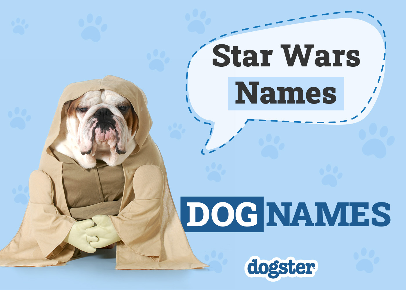 Dogster_Star Wars Names
