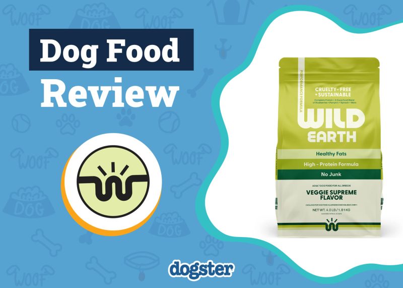 Dogster_Wild Earth Dog Food Review