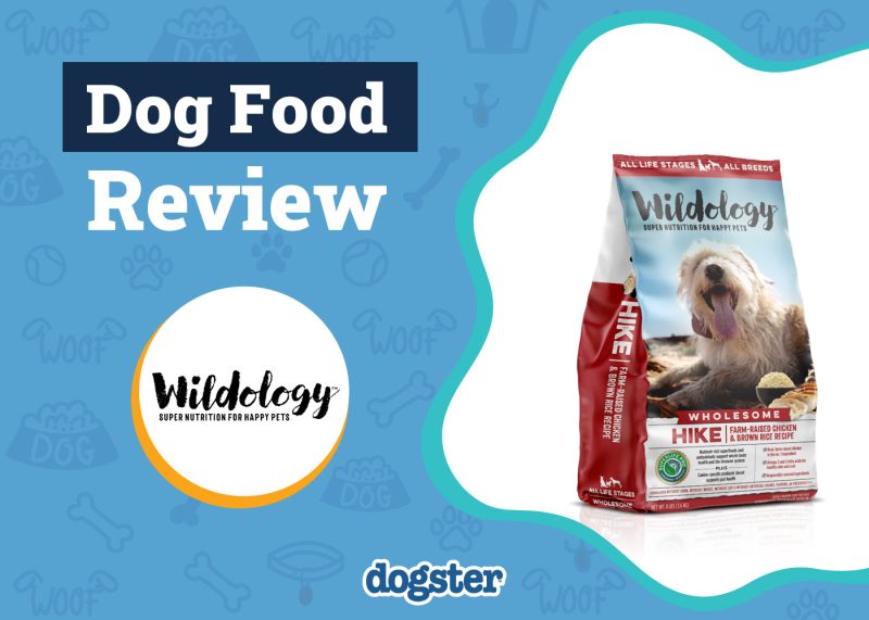 Dogster_Wildology Dog Food Review