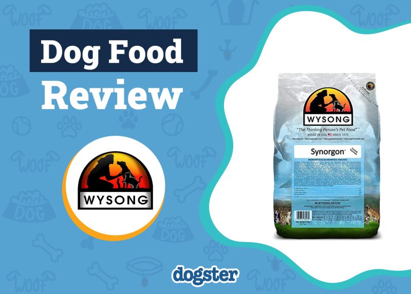 Dogster_Wysong Dog Food Review