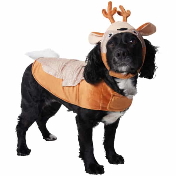 Top Halloween Costumes for Dogs in 2022 – Dogster
