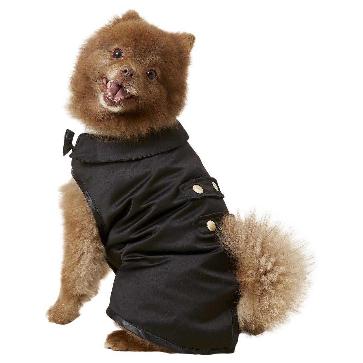 Frisco Formal Dog & Cat Tuxedo
