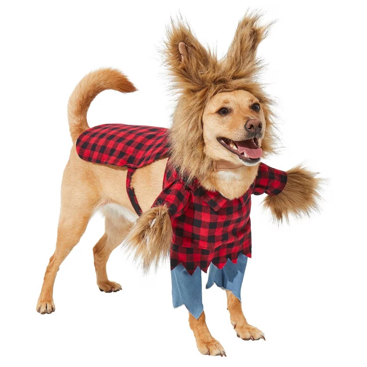 Frisco Front Walking Werewolf Dog & Cat Costume