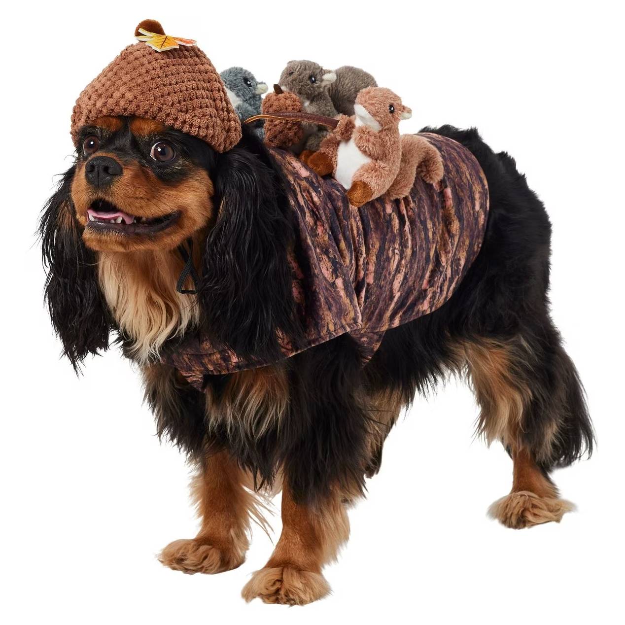 Frisco Squirrels & Nuts Ride-On Dog & Cat Costume