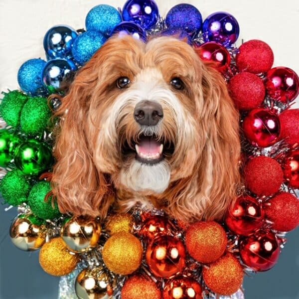 Dog with ornaments