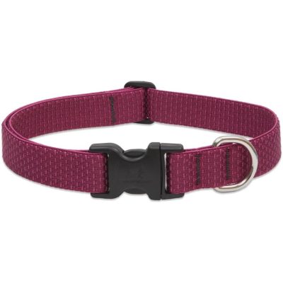 LupinePet Eco Adjustable Collar