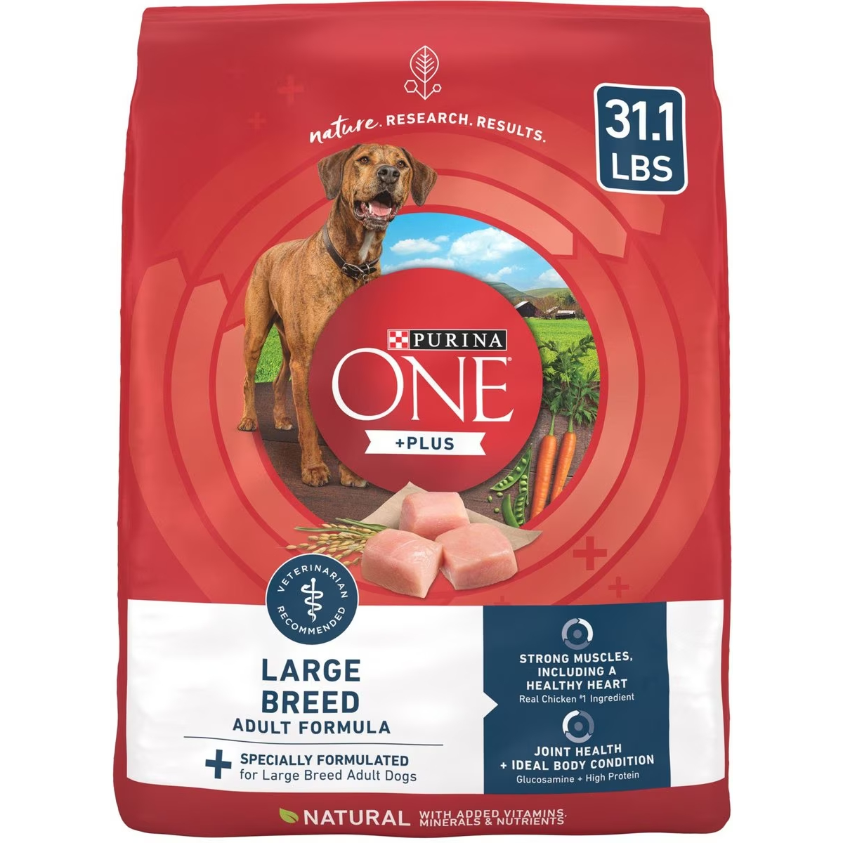 New Project Purina ONE Natural Large Breed +Plus Formula Dry Dog Food 