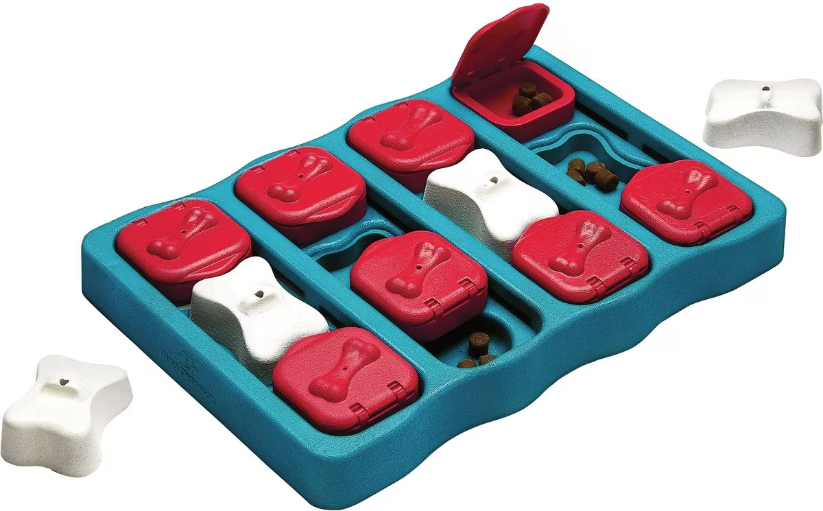 Nina Ottosson by Outward Hound Brick Puzzle Game Toy for Dogs and Cats
