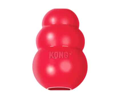 https://www.dogster.com/wp-content/uploads/2022/10/OriginalKongDogPuzzleToy.jpg