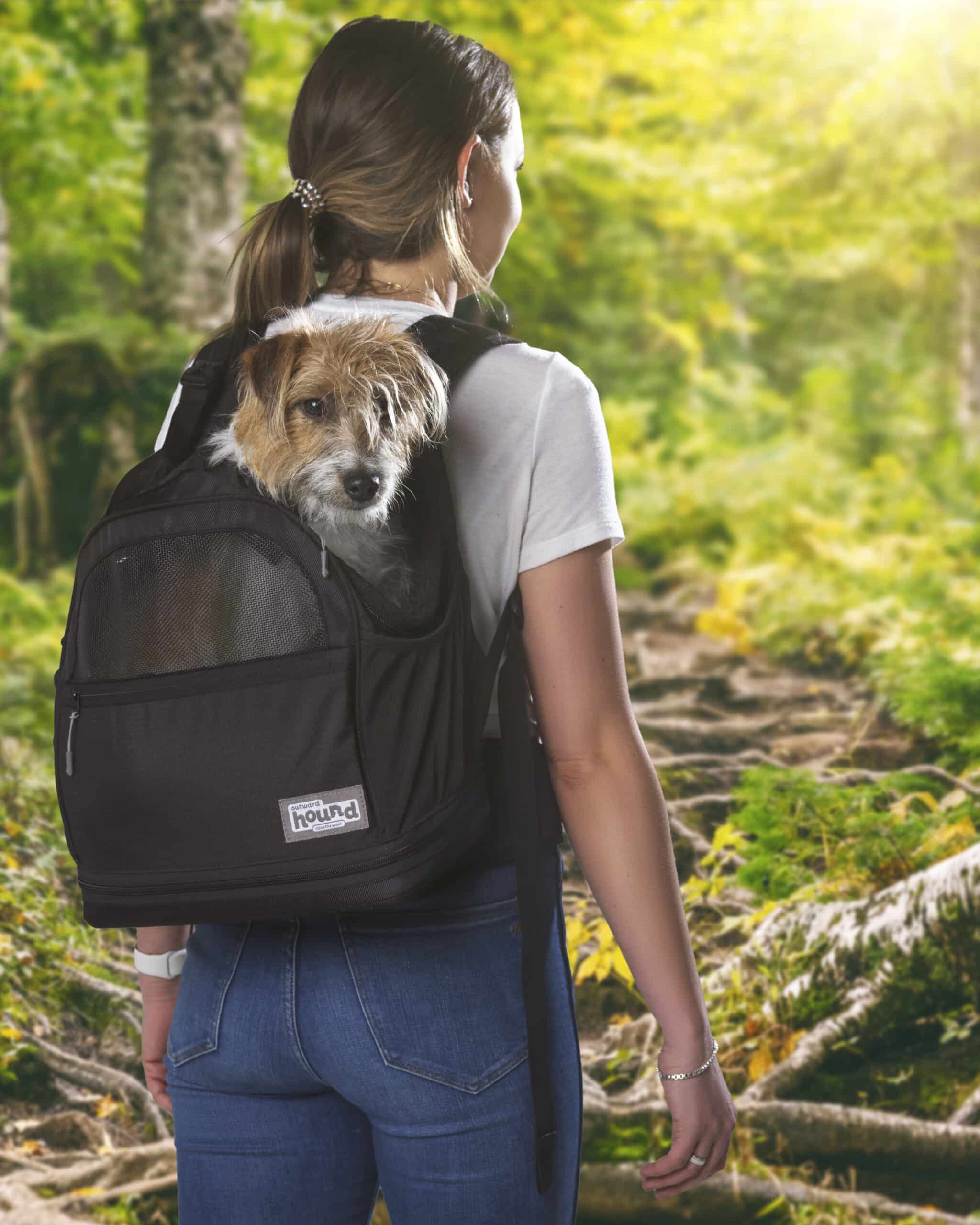Dog Backpack Carriers What to Look For Dogster