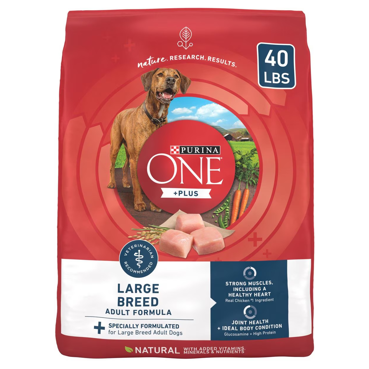 Purina ONE Large Breed Dry Dog Food
