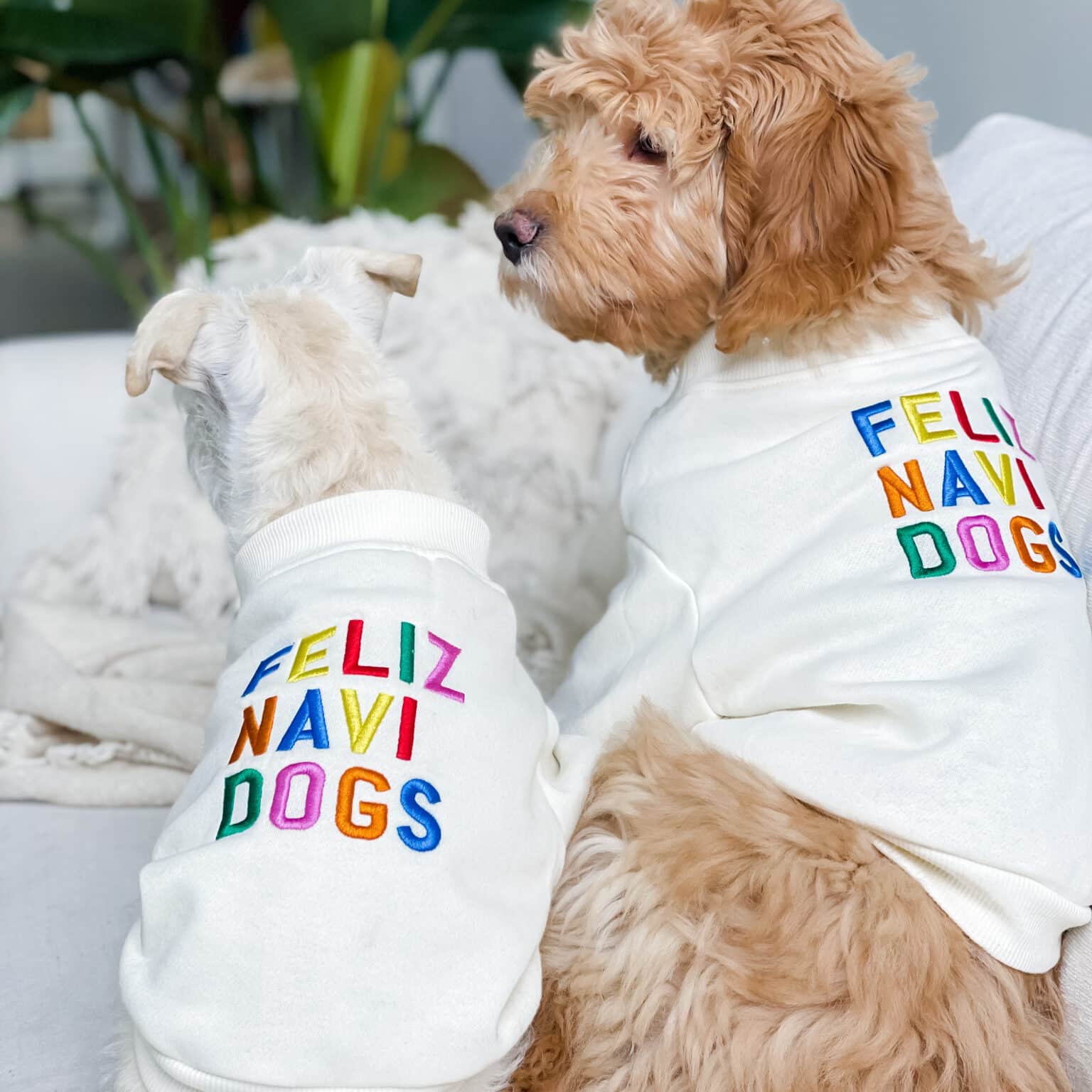 The 12 Best Christmas Sweaters for Dogs and Humans Dogster
