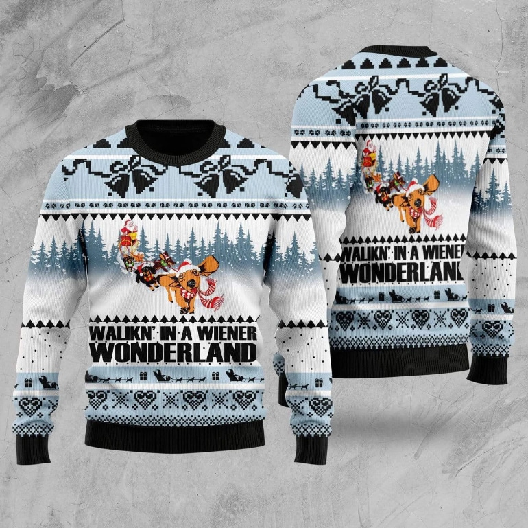 The 12 Best Christmas Sweaters for Dogs and Humans Dogster