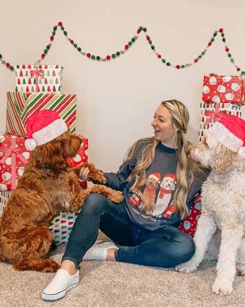 Knitwise dog christmas sweater