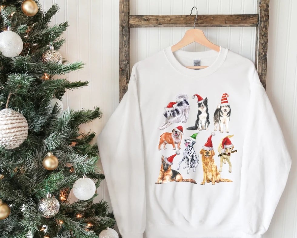 The 12 Best Christmas Sweaters for Dogs and Humans Dogster
