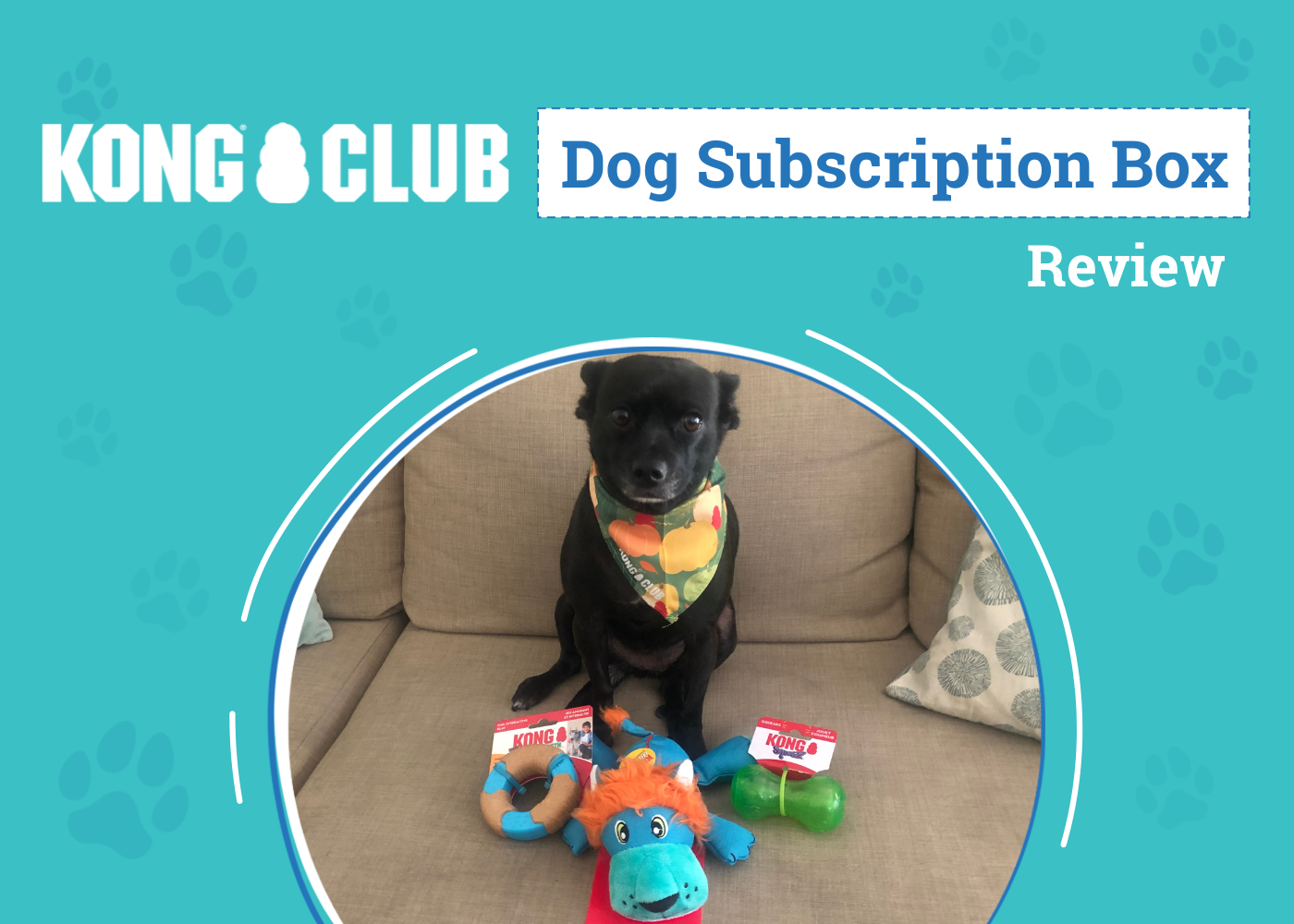 DOG_SAPR_Kong Club Dog Subscription box