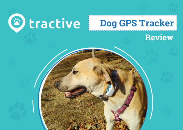 DOG_SAPR_Tractive Dog GPS tracker