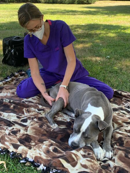 dog massage