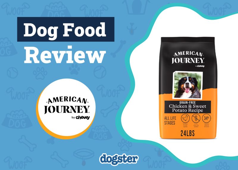 Dogster_American Journey Dog Food Review
