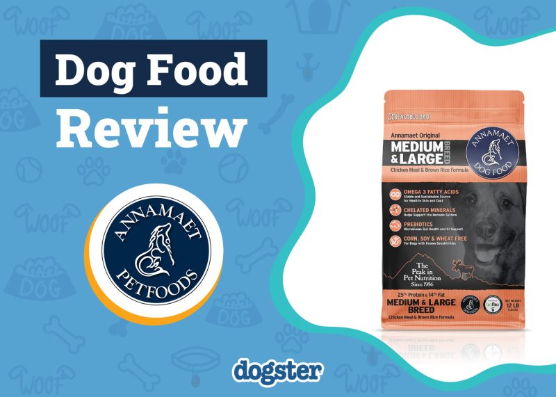 Dogster_Annamaet Dog Food Review