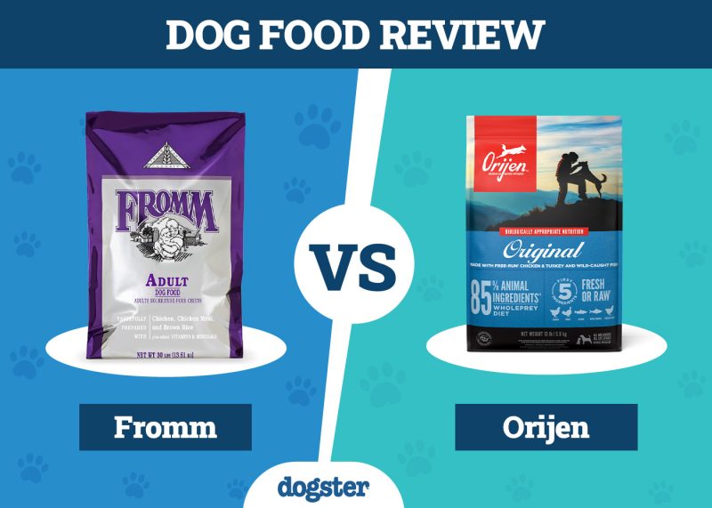 Dogster_Dog Food Fromm VS Orijen