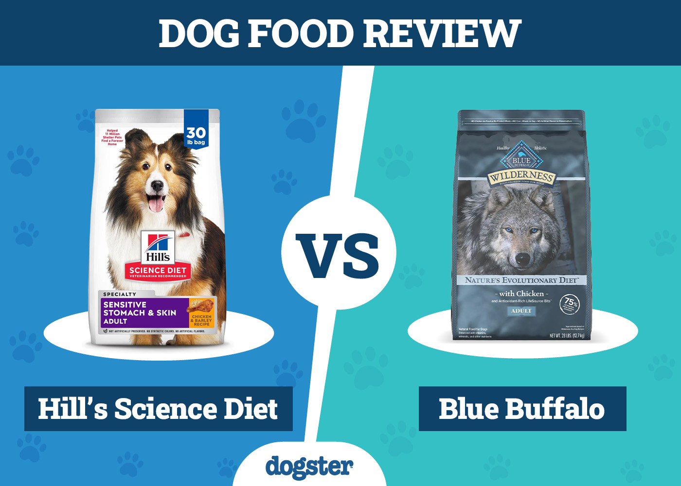 Dogster_Dog Food Hill’s Science Diet VS Blue Buffalo