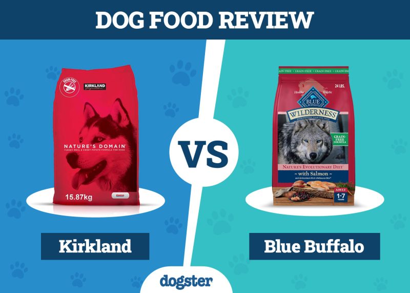 Dogster_Dog Food Kirkland VS Blue Buffalo