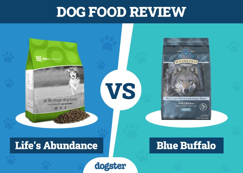 Dogster_Dog Food Life’s Abundance VS Blue Buffalo