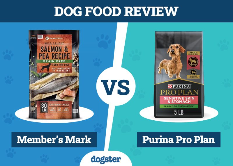 Dogster_Dog Food Member_s Mark vs Purina Pro Plan