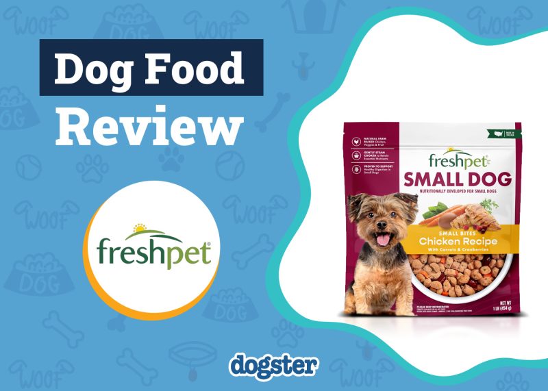 Dogster_Freshpet Dog Food Review