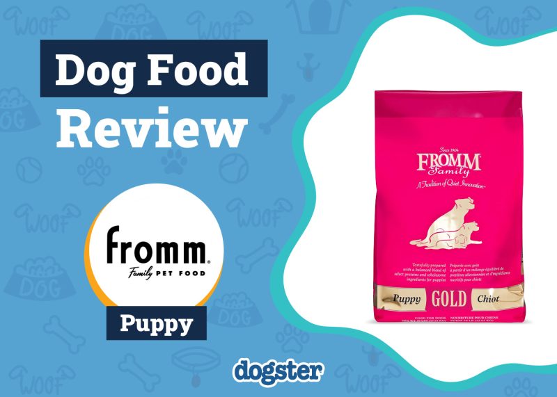 Dogster_Fromm Puppy Food Review