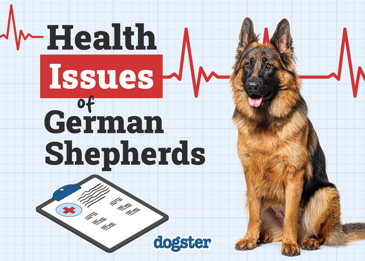 Dogster_Health Problems of German Shepherds