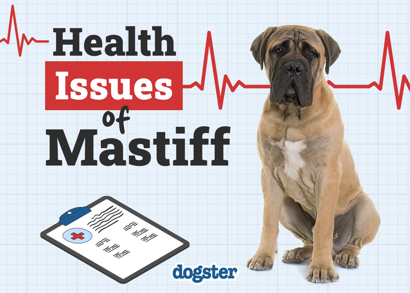 Dogster_Health Problems of Mastiff