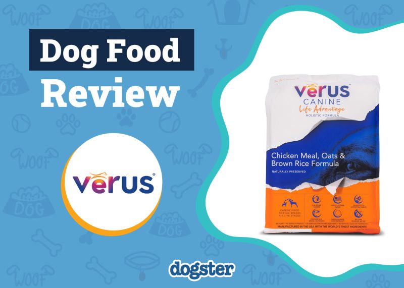Dogster_VeRUS Dog Food Review