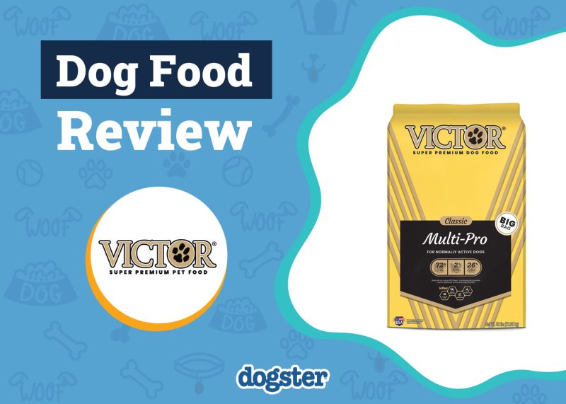 Dogster_Victor Dog Food Review