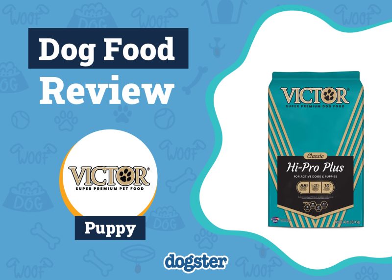 Dogster_Victor Puppy Food Review