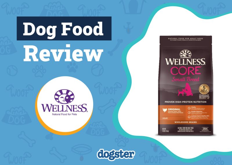 Dogster_Wellness Dog Food Review