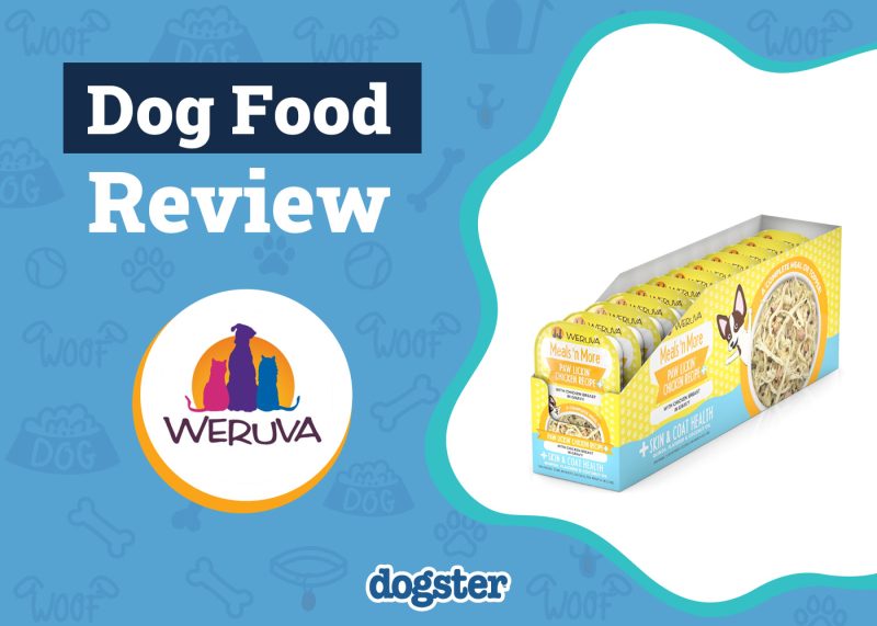 Dogster_Weruva Dog Food Review