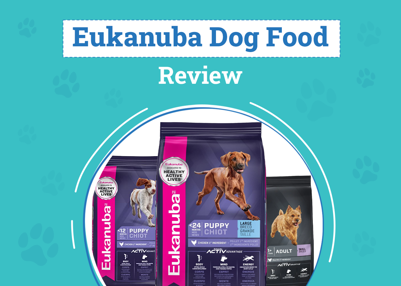 Eukanuba Dog Food Review 2025: Pros, Cons & Recalls – Dogster